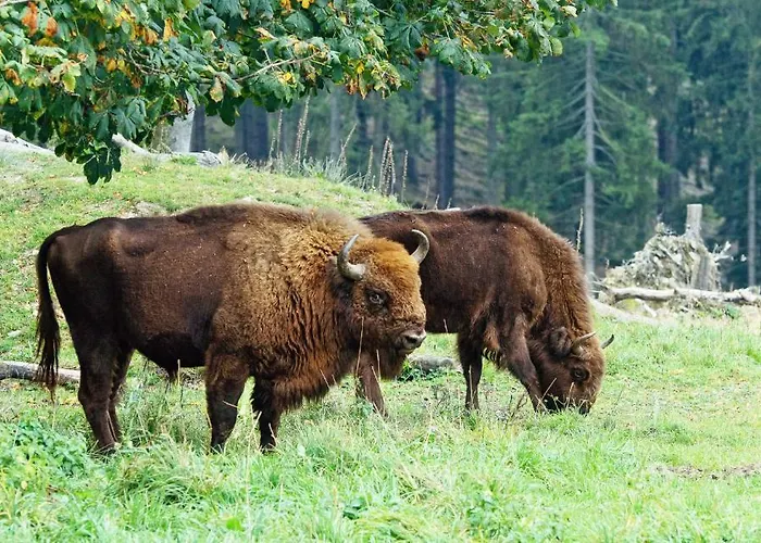 Hotel-pension Haus Erna